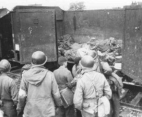 .S. soldiers discovered these boxcars loaded with dead prisoners outside the Dachau camp